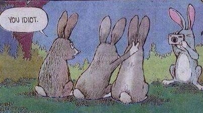 Rabbit doing bunny ears