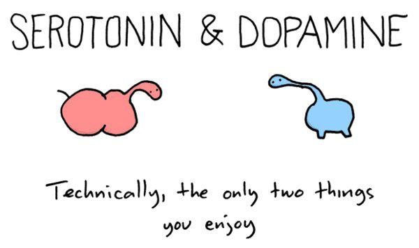 Serotonin and Dopamine...