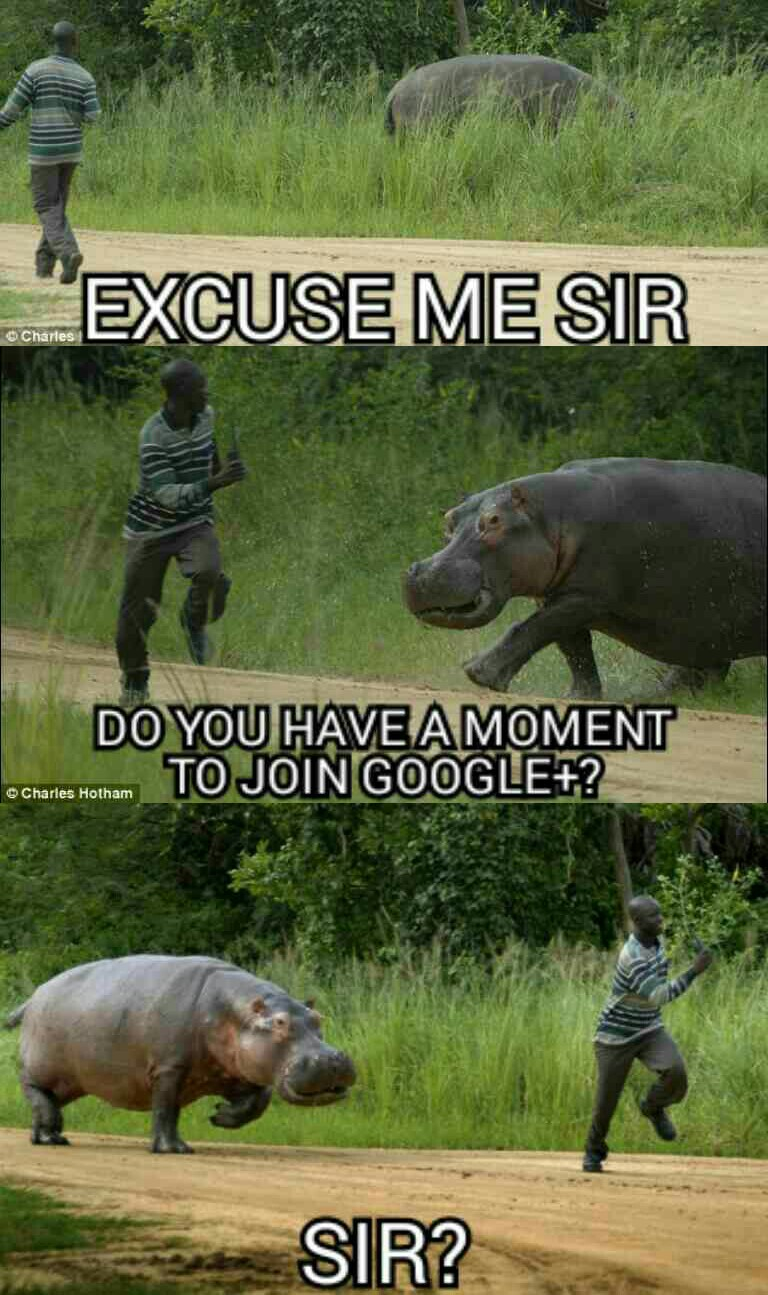 Excuse me sir...